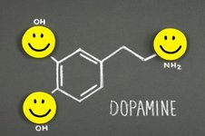 дофамин.jpeg